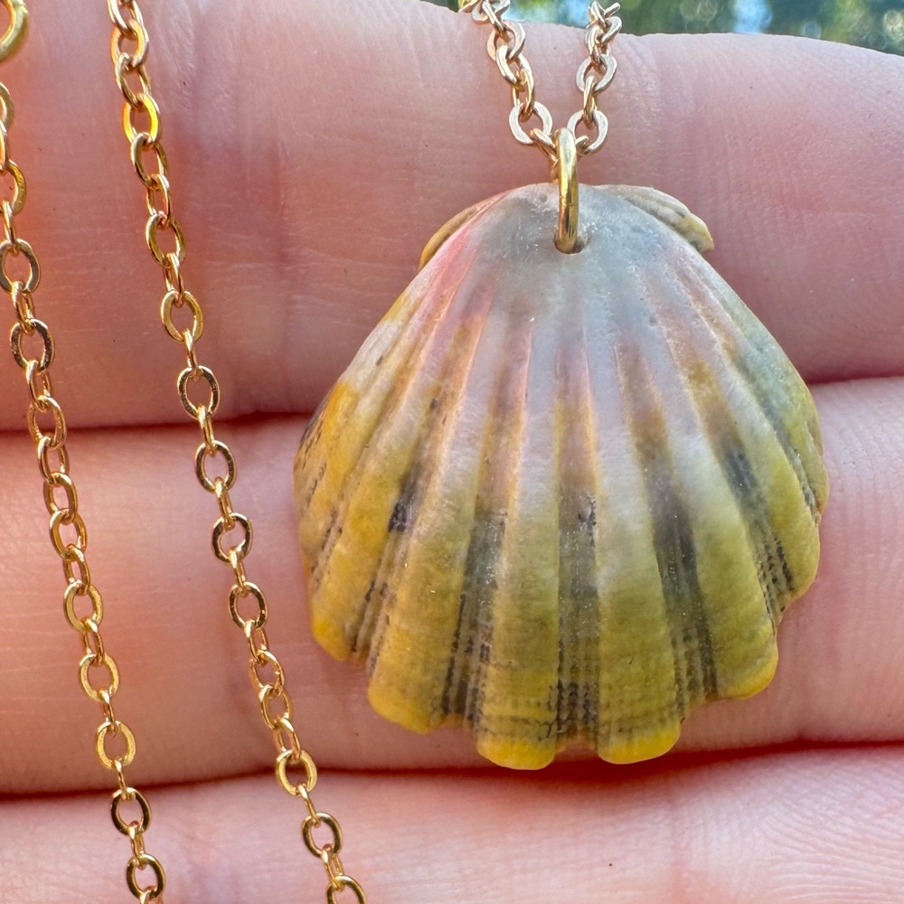 Rare Hawaii genuine sunrise shell gold necklace